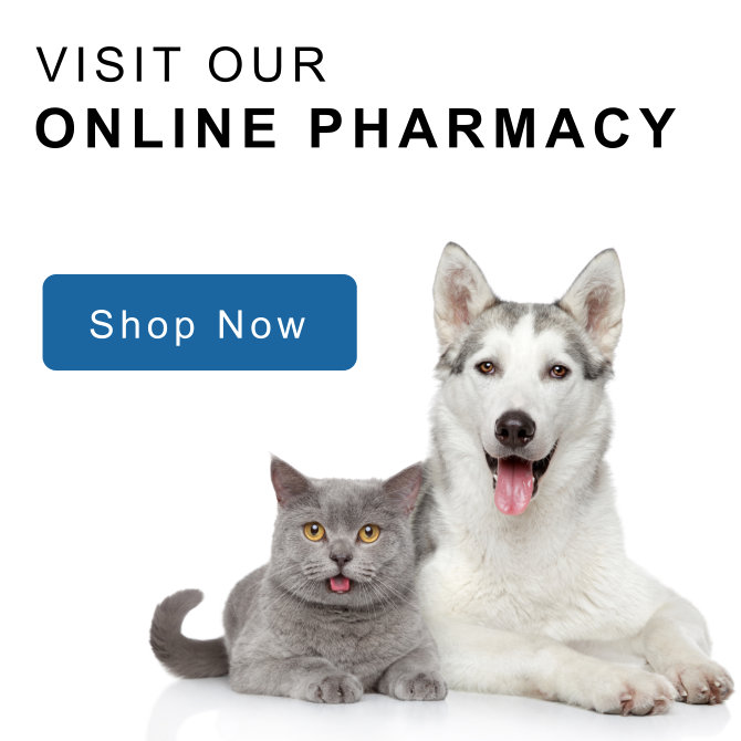 vetsource