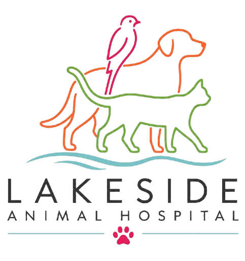Lakeside Animal Hospital